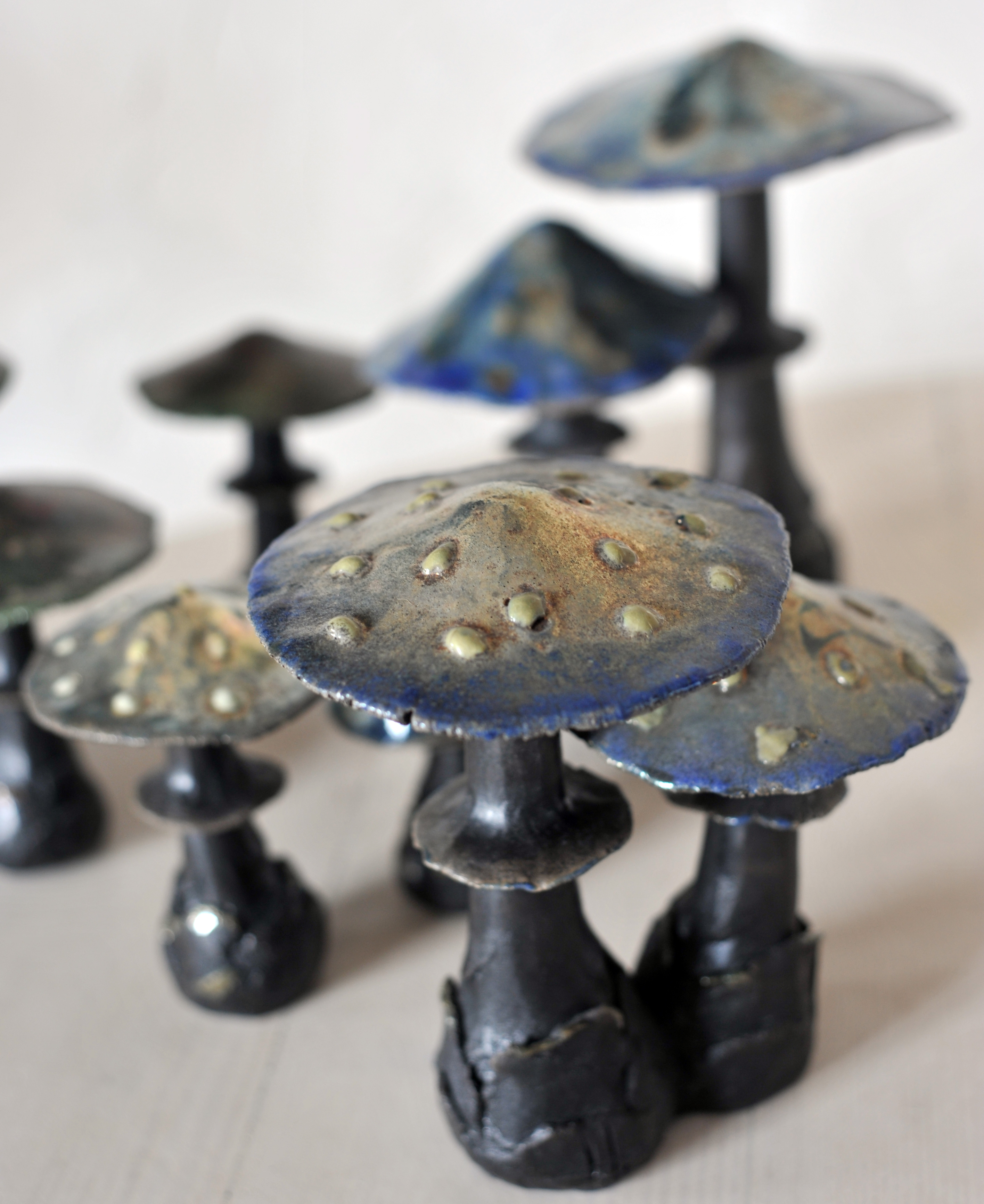 champignons céramique